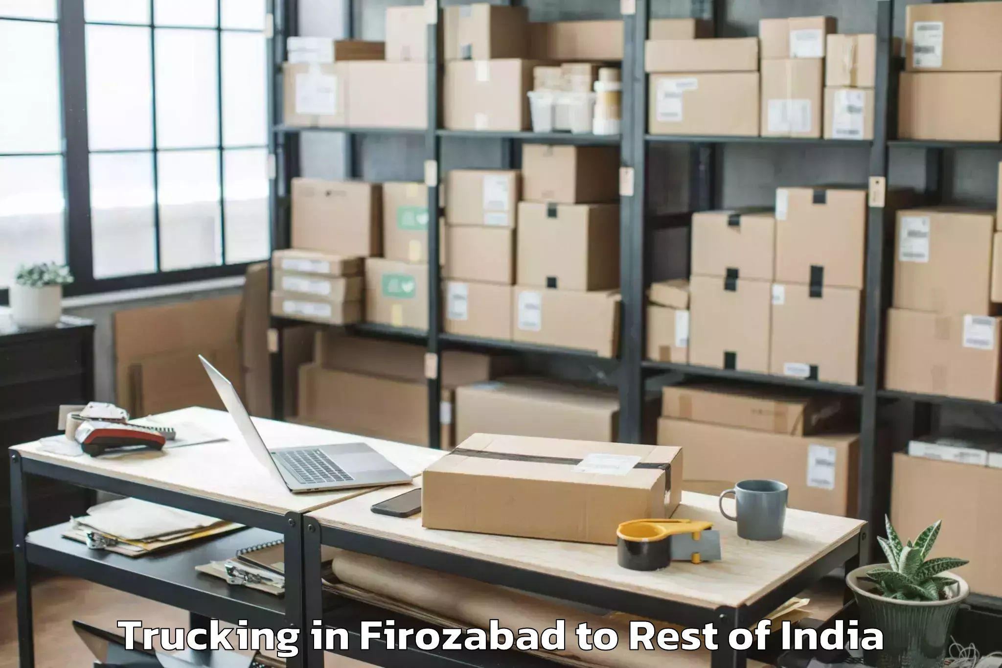 Quality Firozabad to Rajaori Trucking